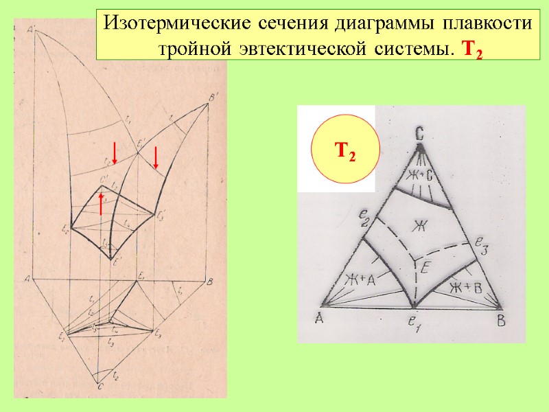 Изотермические сечения диаграммы плавкости  тройной эвтектической системы. Т2 Т2